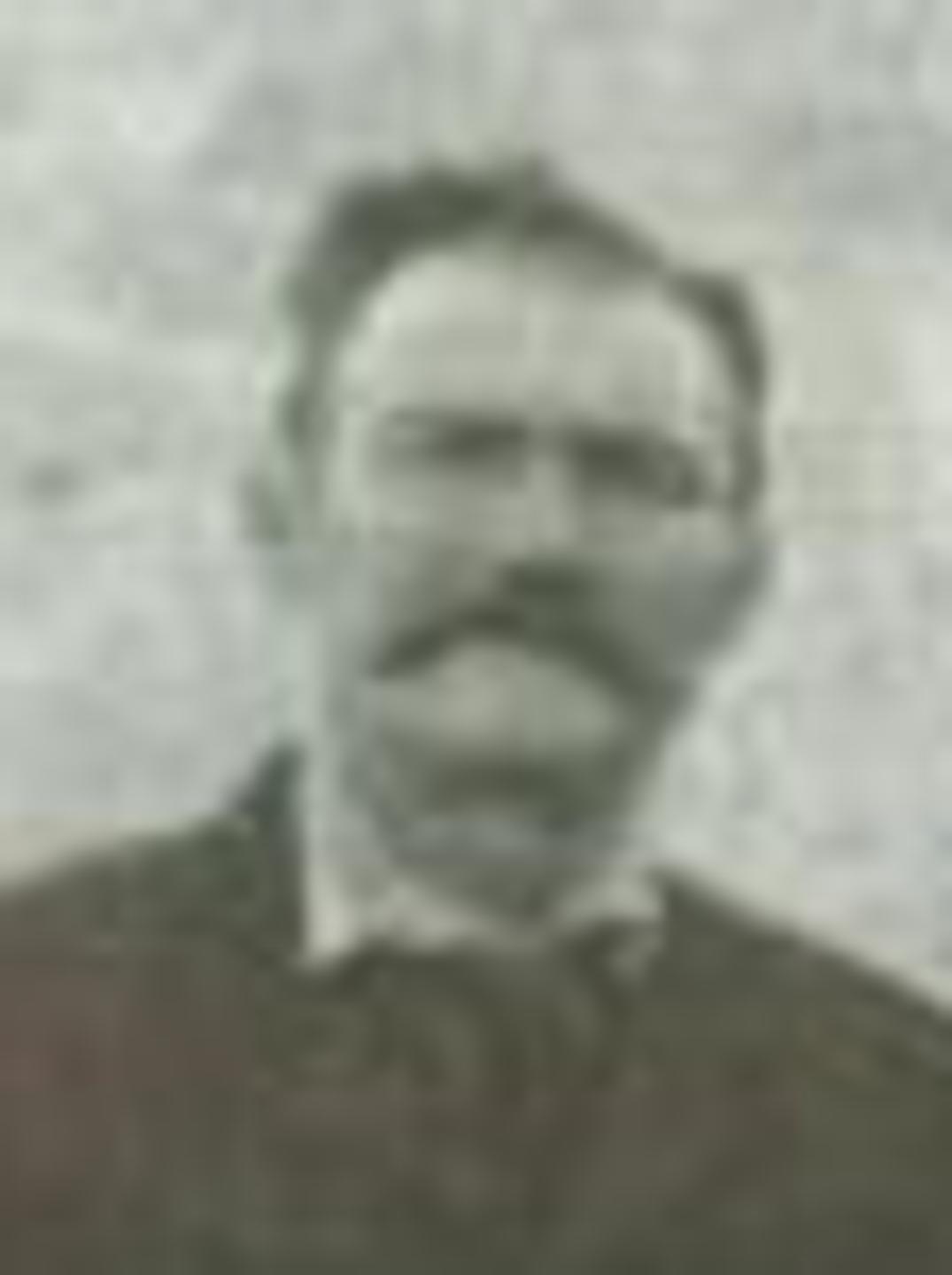 Ole Louis Olsen (1856 - 1923) Profile